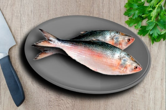 Hilsa (Gross: 700 - 900 Gm Net: 350 - 500 gm