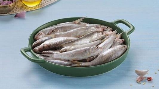 Bata fish(400gm to 500gm)