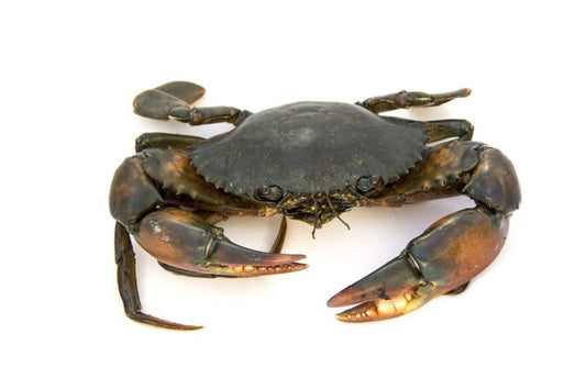 Crab Gross: (480 - 500 Gm Net: 400 - 450 gm)